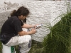 img_0078 img_0078
